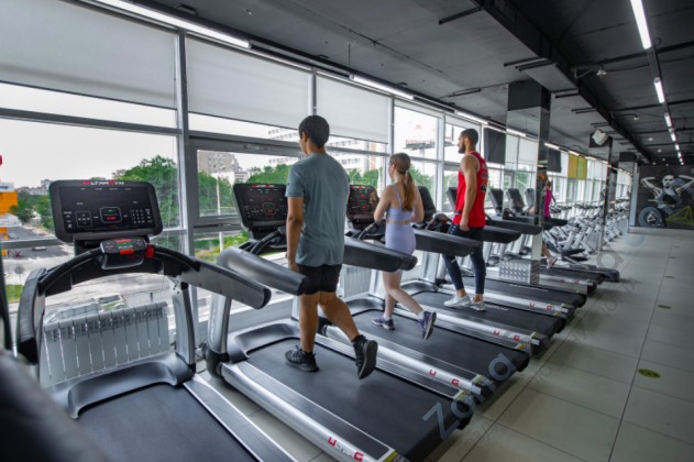 Беговая дорожка UltraGym UG-Power 008