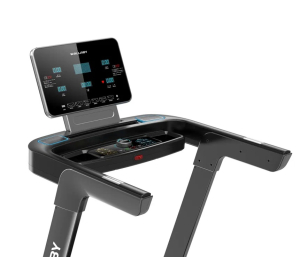 Беговая дорожка Wallaby TS350