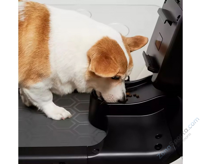 Беговая дорожка Yesoul T-Q1 для собак