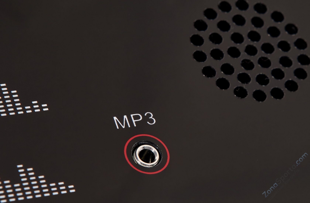 Беговая дорожка Titanium Masters Physiotech TDA