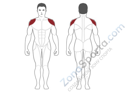 Дельта-машина Steel Flex Hope HDR1300