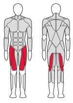 Комбинированный сгибатель/разгибатель бедра Fitex FTX-5509