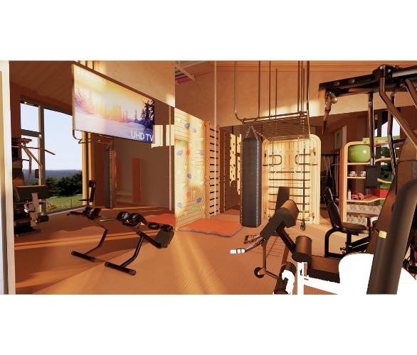 Многофункциональный комплекс с элементами отделки частных яхт и рукоходом шведская стенка Desire Regatta Sky