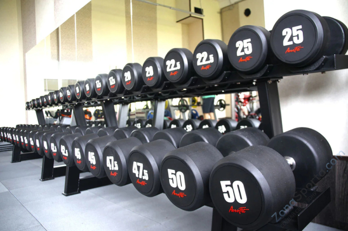 Набор обрезиненных гантелей AeroFIT AFDB27,5-37,5