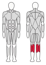 Тренажер Голень машина (стоя) XR119