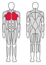 Тренажер Жим горизонтальный Fitex FTX-6204