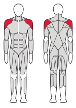 Тренажер Жим вверх Fitex FTX-6201A 