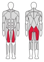 Тренажер Гакк машина Fitex FTX-6913