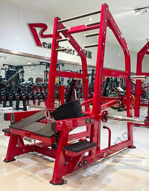 Приседания с поясом (колодец) на свободных весах Realleader LD-2004 (HSPro-2004)