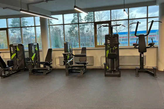 Разгибание ног сидя Spirit SP-4305