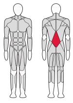 Разгибатель спины Fitex Pro FTX-7317