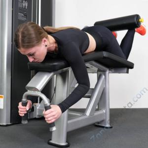 Сгибание ног лежа Protrain 61A26-80