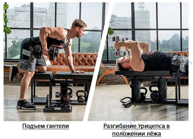 Скамья мультипозиционная UFC Zone+