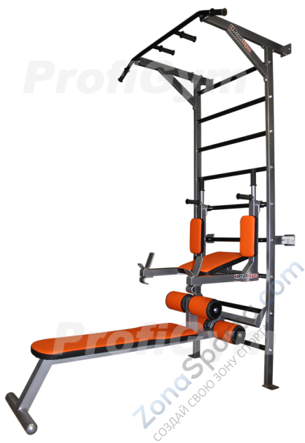 Спортивный комплекс универсальный Profigym ТК-0220-J