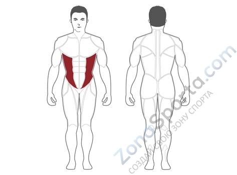 Торс-машина Steel Flex Hope HOT1800